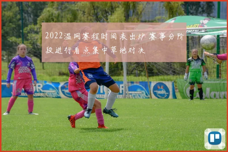 2022温网赛程时间表出炉 赛事分阶段进行看点集中草地对决